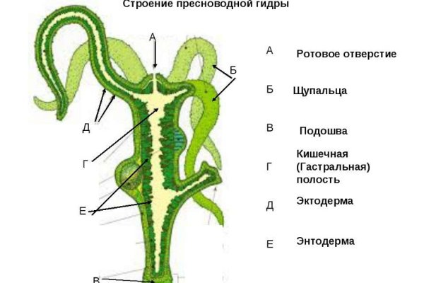 Ссылка на kraken вход