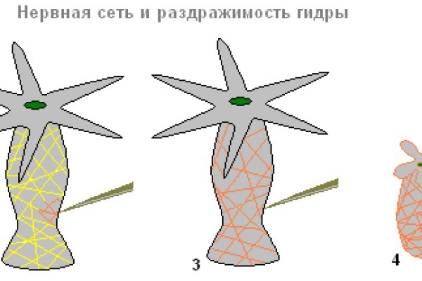 Кракен ссылка на тор официальная kraken6.at kraken7.at kraken8.at