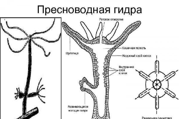 Рабочее зеркало mega для tor браузеров